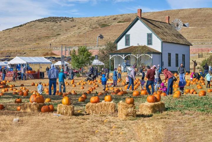 Fall Festival