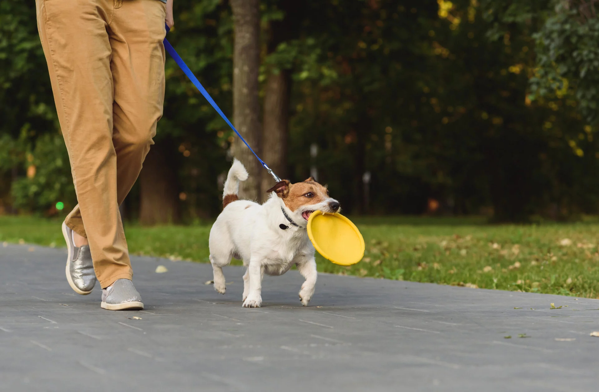Pet-Friendly Living at Lyric™: Spring Adventures for You and Your Pup